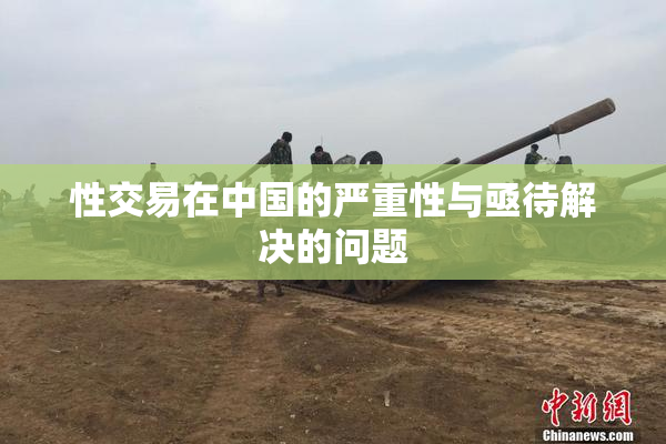 性交易在中国的严重性与亟待解决的问题