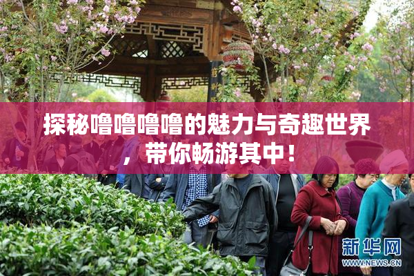 探秘噜噜噜噜的魅力与奇趣世界，带你畅游其中！