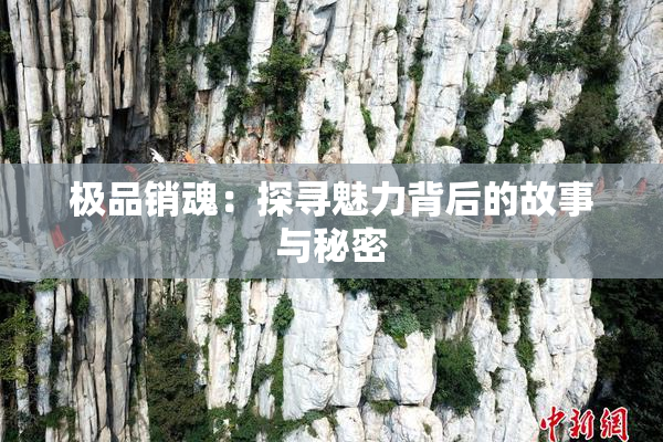 极品销魂：探寻魅力背后的故事与秘密