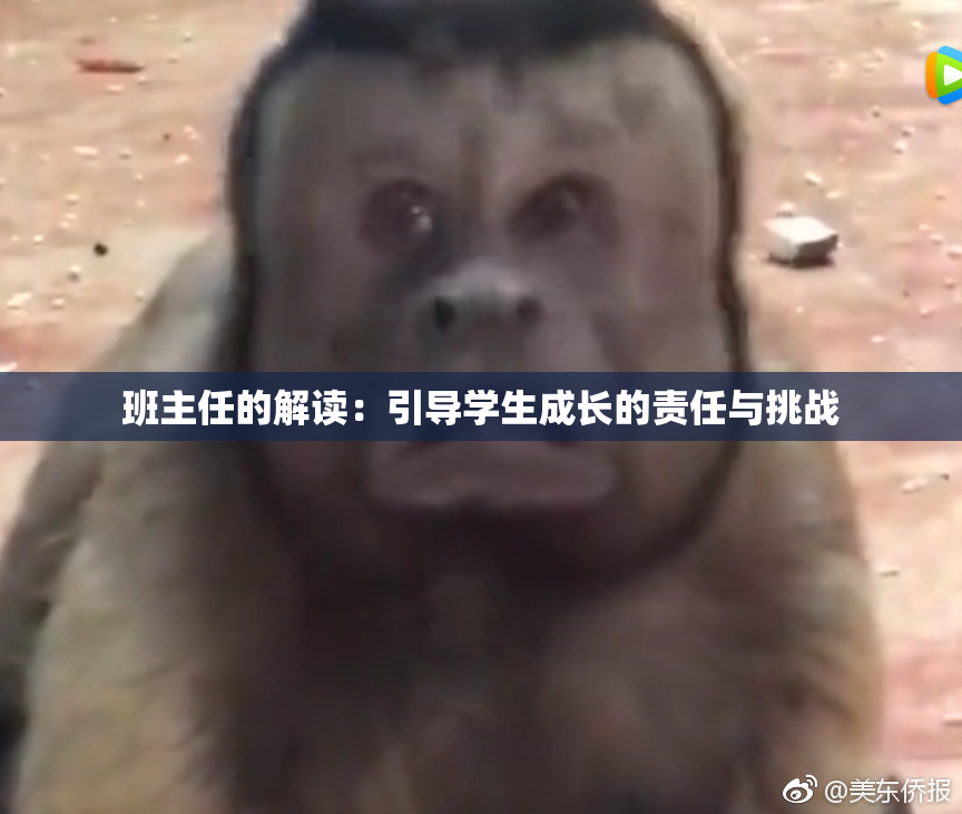 班主任的解读：引导学生成长的责任与挑战