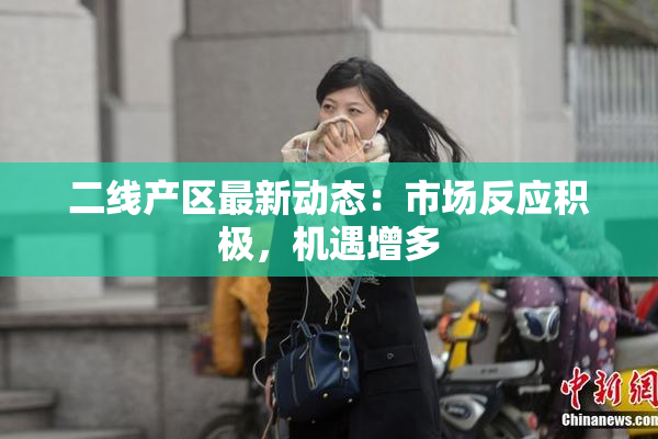 二线产区最新动态：市场反应积极，机遇增多