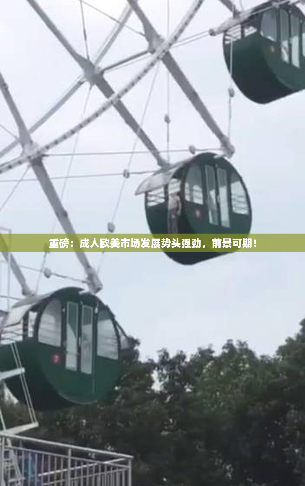 重磅：成人欧美市场发展势头强劲，前景可期！