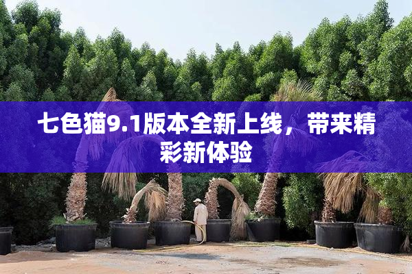 七色猫9.1版本全新上线，带来精彩新体验