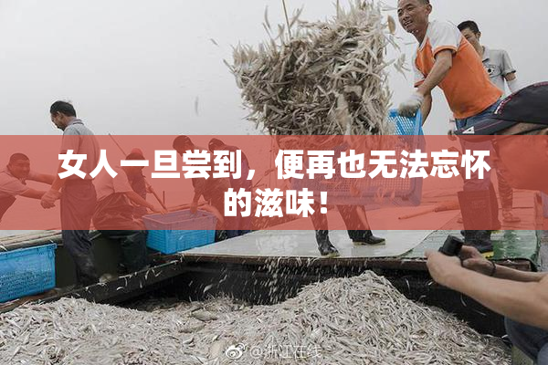 女人一旦尝到，便再也无法忘怀的滋味！