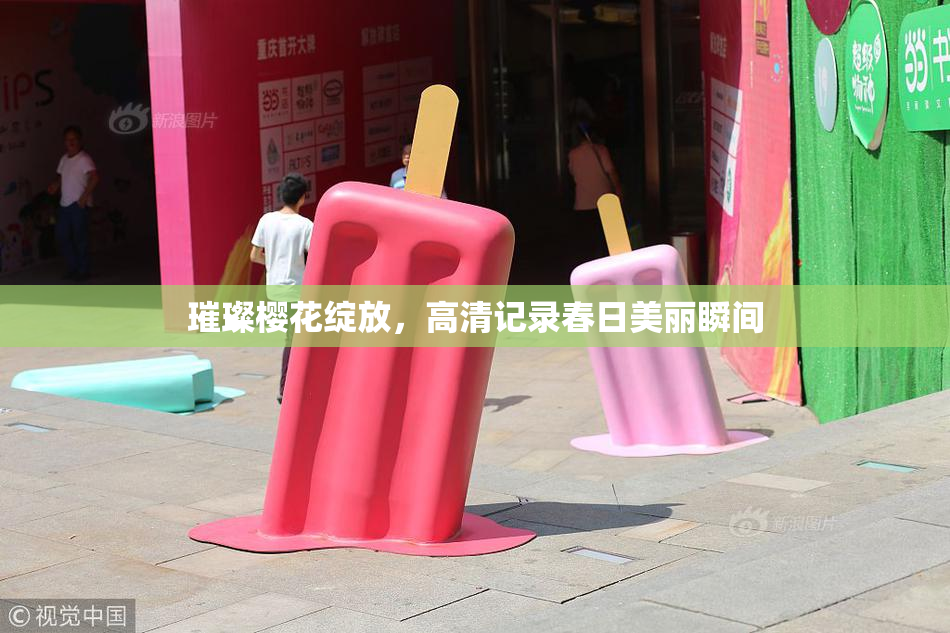 璀璨樱花绽放，高清记录春日美丽瞬间
