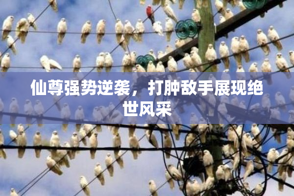 仙尊强势逆袭，打肿敌手展现绝世风采