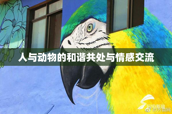 人与动物的和谐共处与情感交流