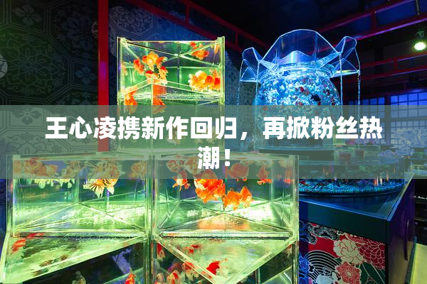 王心凌携新作回归，再掀粉丝热潮！