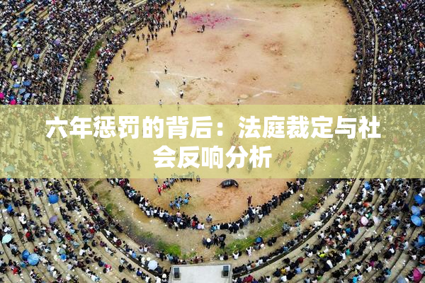 六年惩罚的背后：法庭裁定与社会反响分析