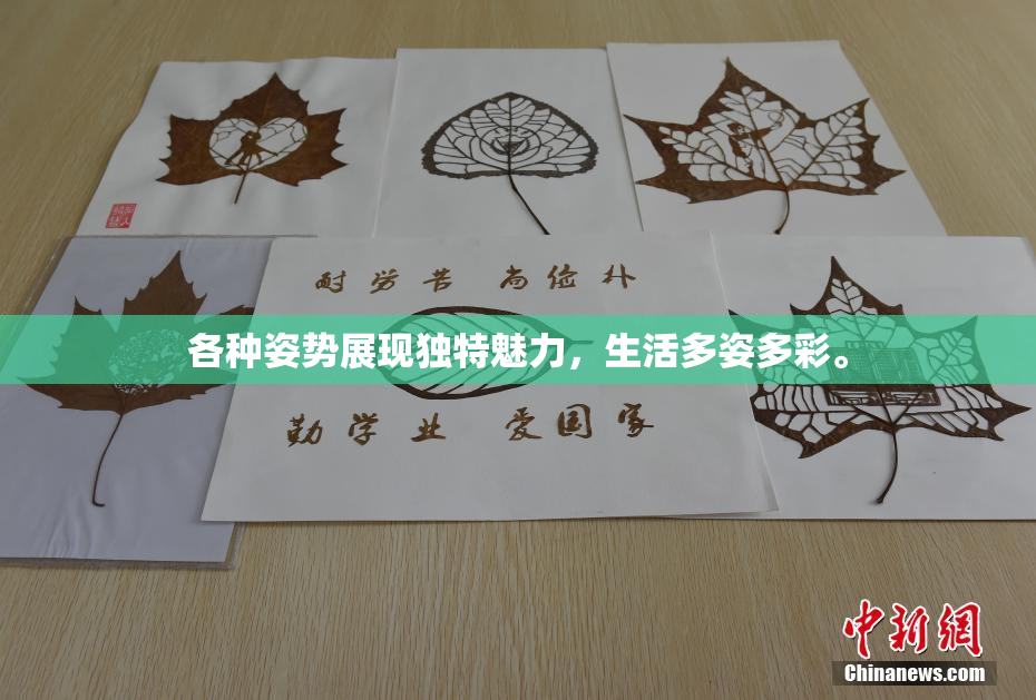 各种姿势展现独特魅力，生活多姿多彩。