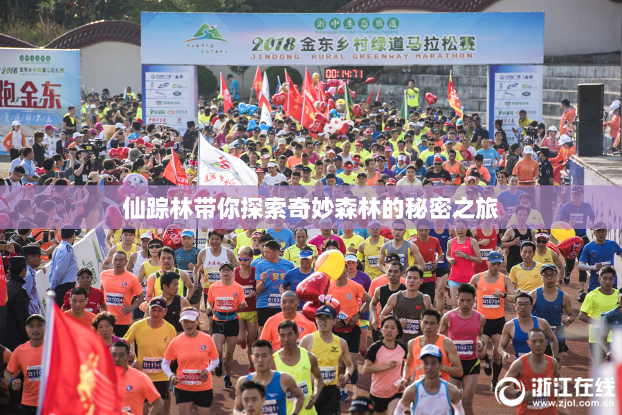 仙踪林带你探索奇妙森林的秘密之旅