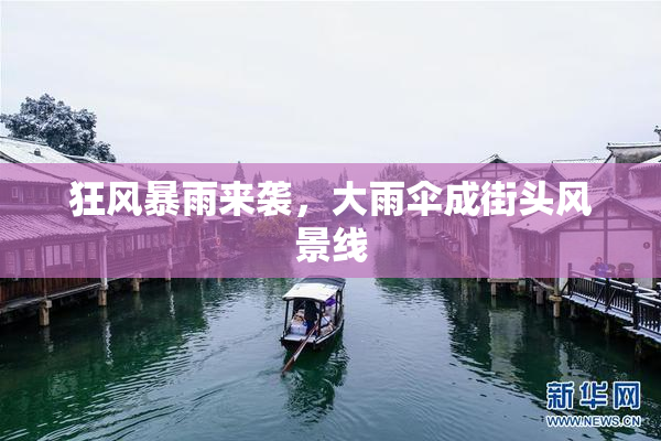 狂风暴雨来袭，大雨伞成街头风景线