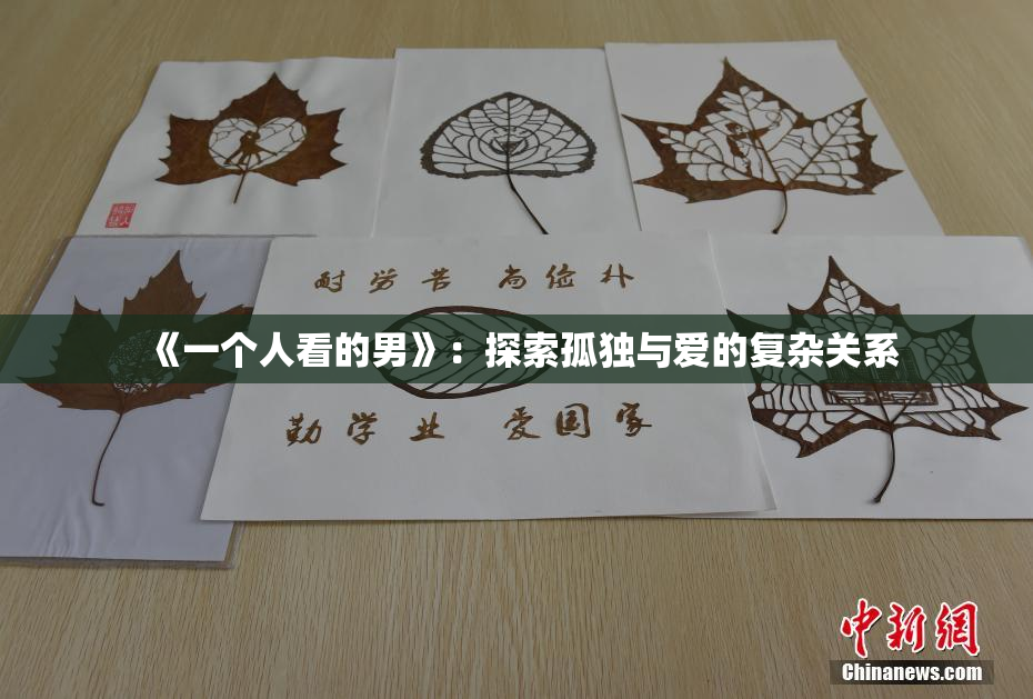 《一个人看的男》：探索孤独与爱的复杂关系