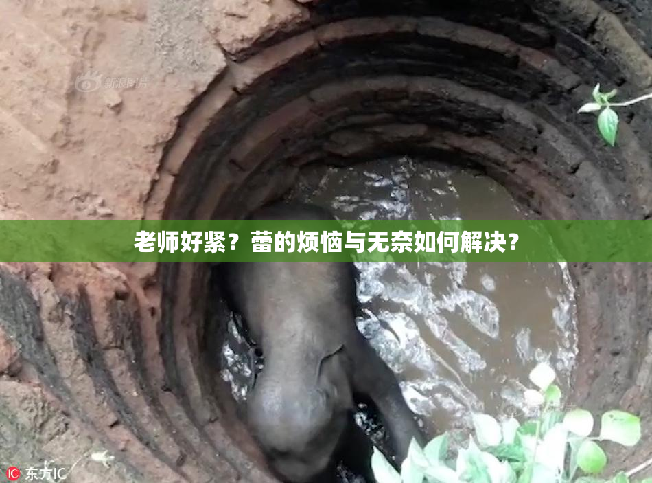 老师好紧？蕾的烦恼与无奈如何解决？
