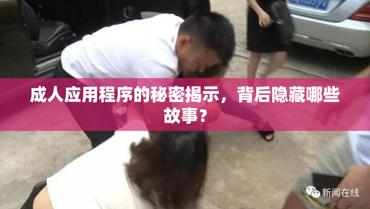 成人应用程序的秘密揭示，背后隐藏哪些故事？