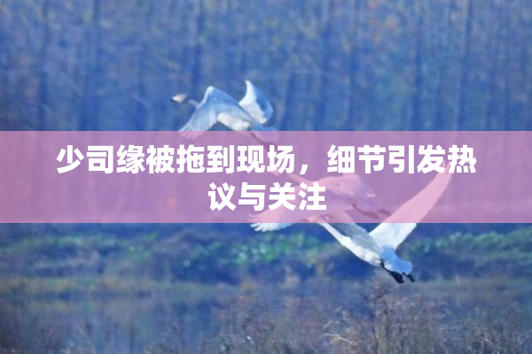 少司缘被拖到现场，细节引发热议与关注