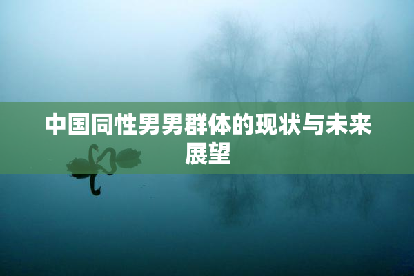 中国同性男男群体的现状与未来展望