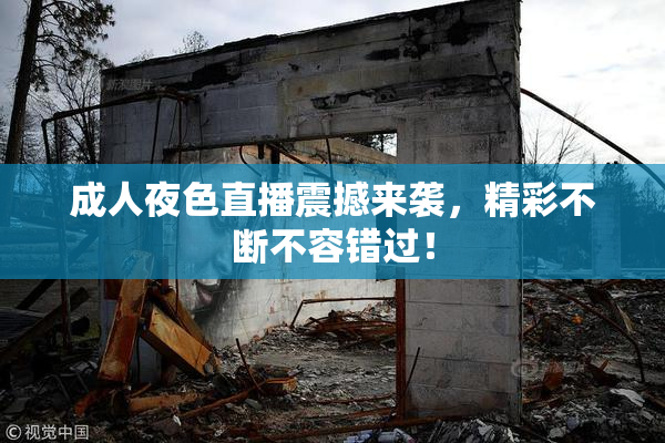 成人夜色直播震撼来袭，精彩不断不容错过！