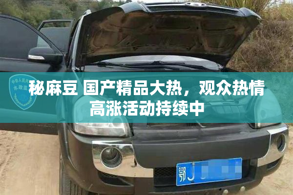 秘麻豆 国产精品大热，观众热情高涨活动持续中