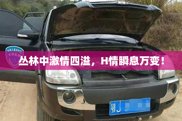 丛林中激情四溢，H情瞬息万变！