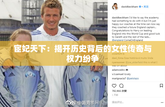宦妃天下：揭开历史背后的女性传奇与权力纷争