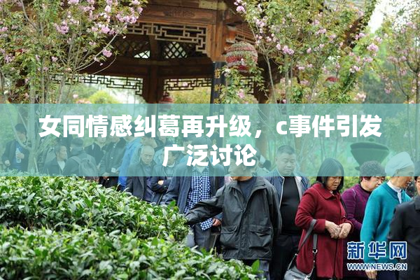 女同情感纠葛再升级，c事件引发广泛讨论
