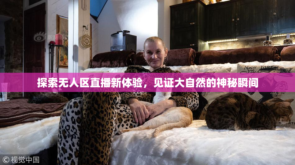 探索无人区直播新体验，见证大自然的神秘瞬间