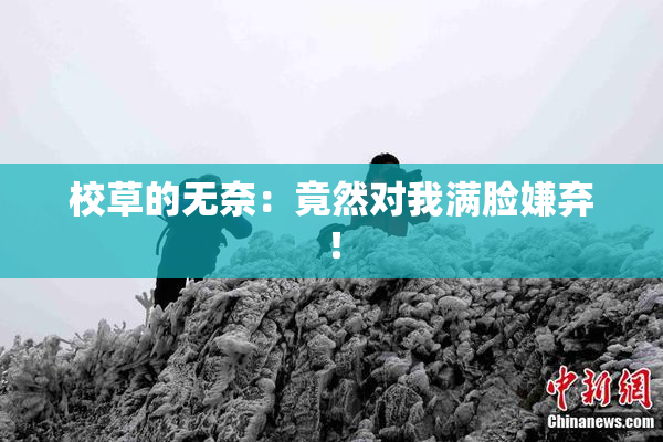 校草的无奈：竟然对我满脸嫌弃！