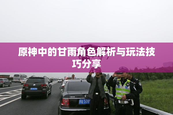 原神中的甘雨角色解析与玩法技巧分享