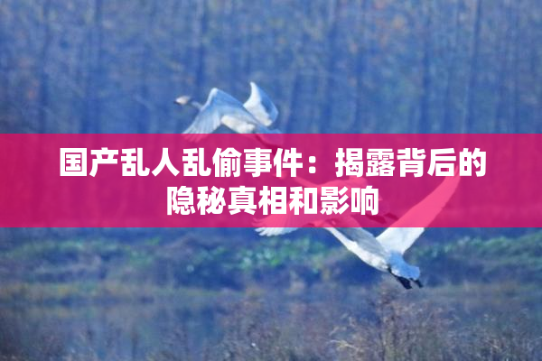 国产乱人乱偷事件：揭露背后的隐秘真相和影响