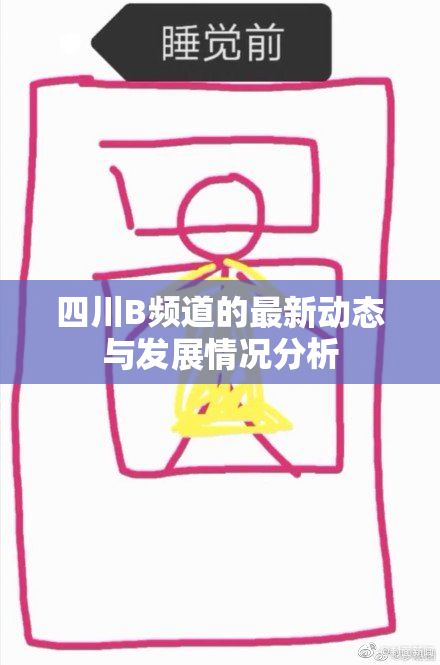 四川B频道的最新动态与发展情况分析
