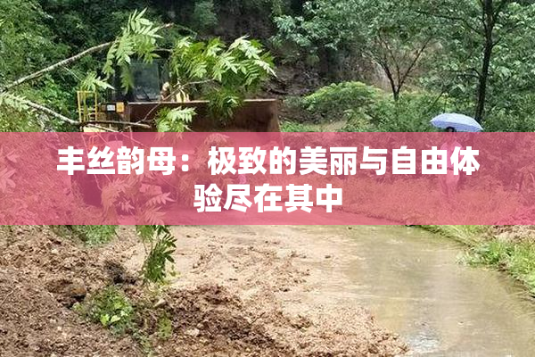 丰丝韵母：极致的美丽与自由体验尽在其中