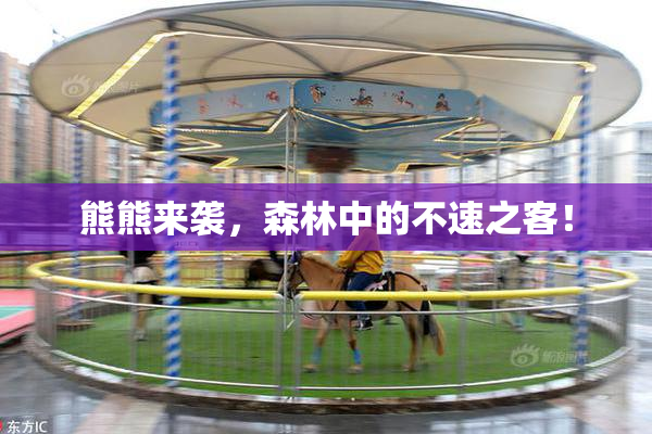 熊熊来袭，森林中的不速之客！