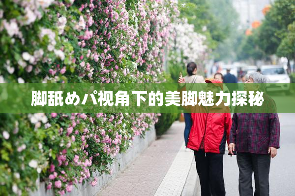 脚舐めパ视角下的美脚魅力探秘