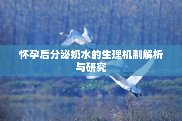 怀孕后分泌奶水的生理机制解析与研究