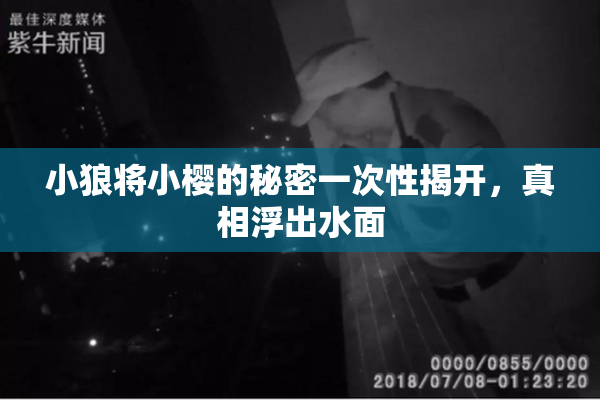 小狼将小樱的秘密一次性揭开，真相浮出水面