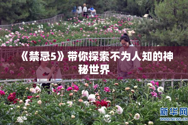 《禁忌5》带你探索不为人知的神秘世界