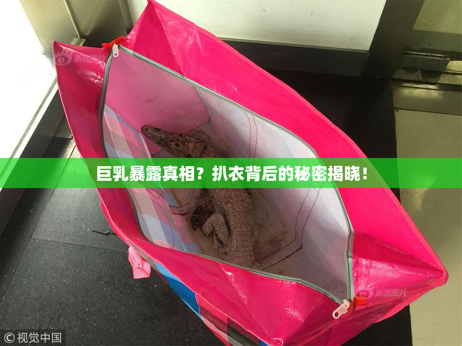 巨乳暴露真相？扒衣背后的秘密揭晓！