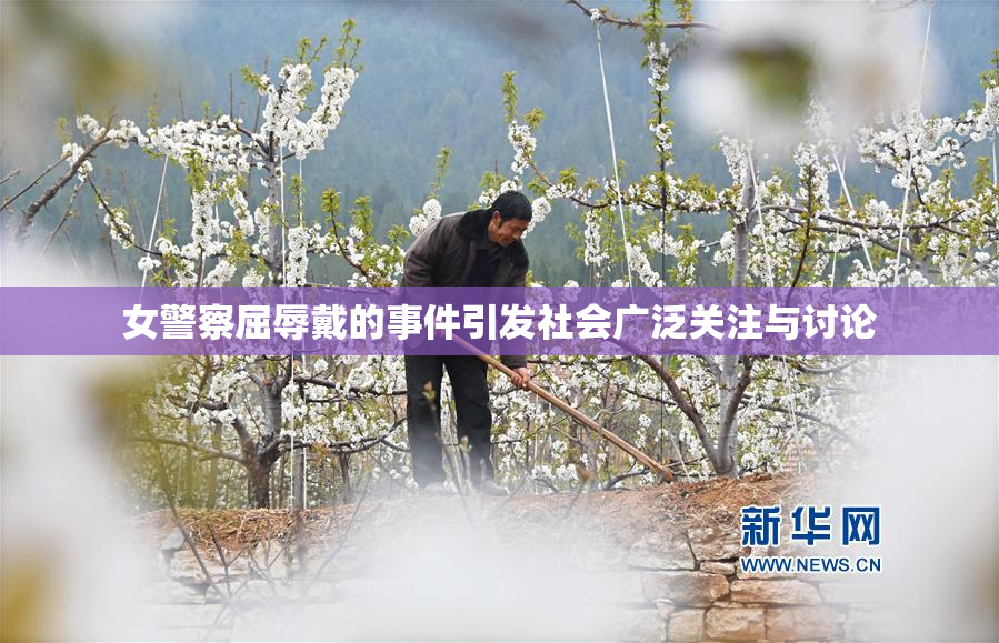 女警察屈辱戴的事件引发社会广泛关注与讨论