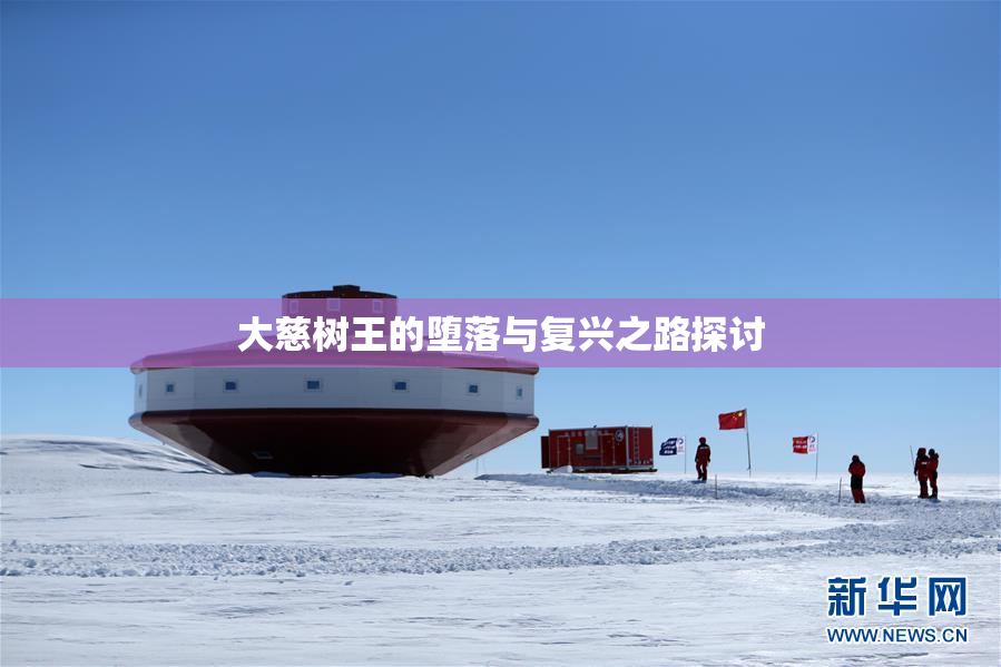 大慈树王的堕落与复兴之路探讨