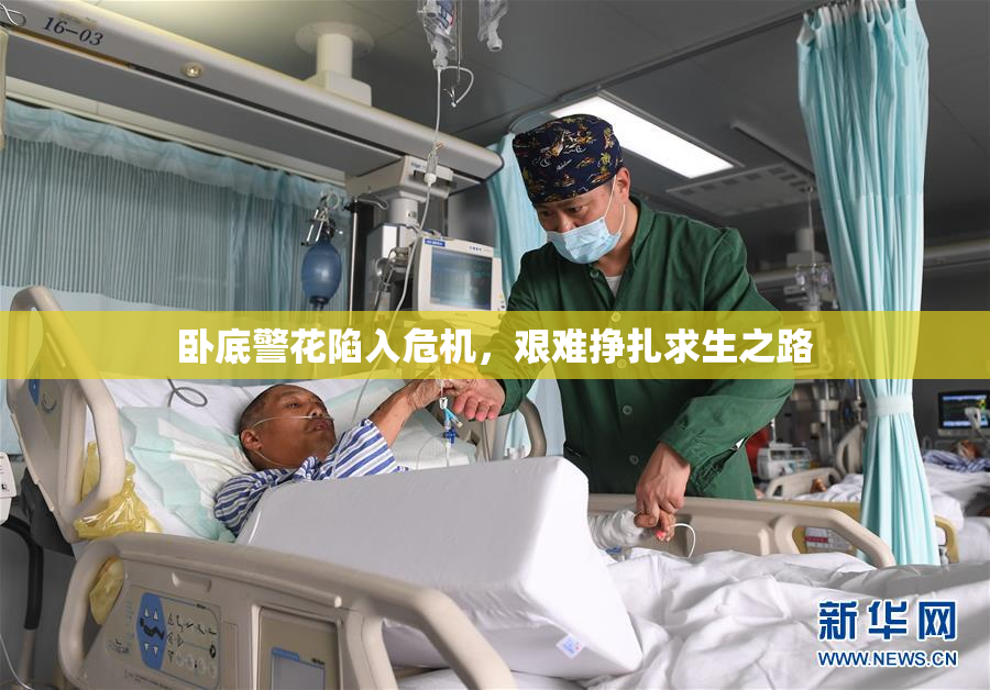 卧底警花陷入危机，艰难挣扎求生之路