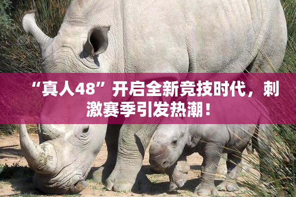“真人48”开启全新竞技时代，刺激赛季引发热潮！