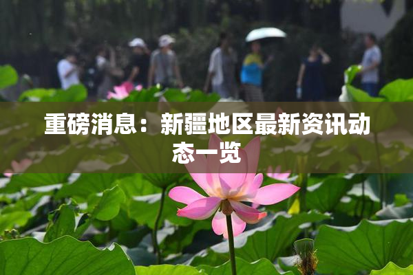 重磅消息：新疆地区最新资讯动态一览