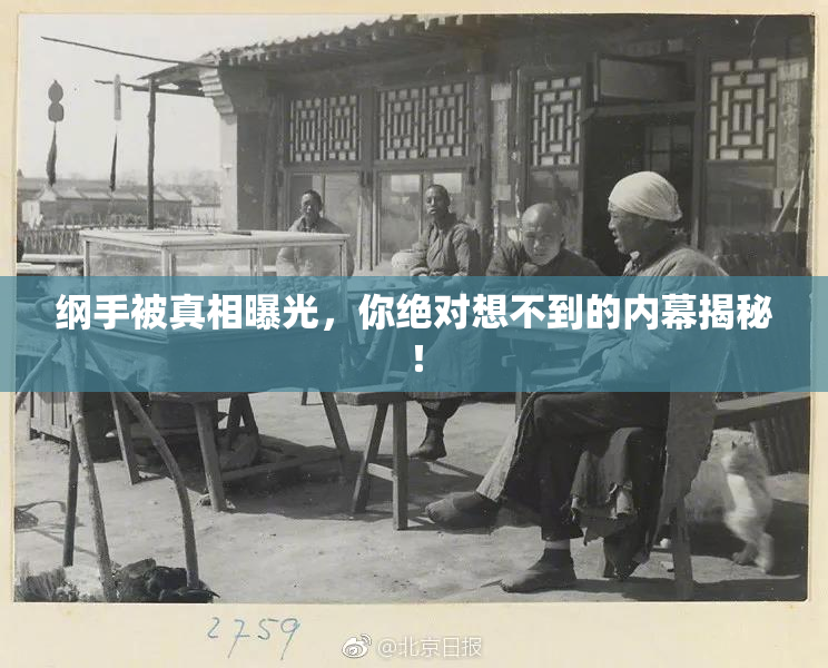 纲手被真相曝光，你绝对想不到的内幕揭秘！