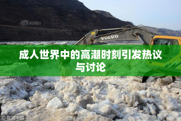 成人世界中的高潮时刻引发热议与讨论