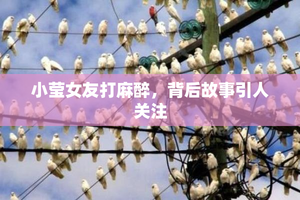 小莹女友打麻醉，背后故事引人关注