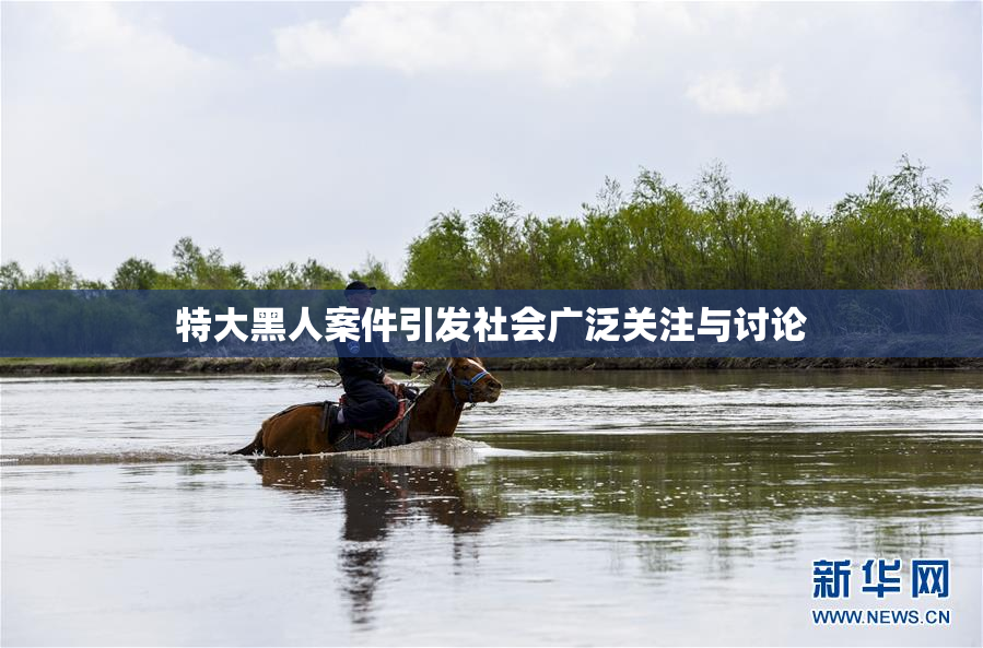 特大黑人案件引发社会广泛关注与讨论