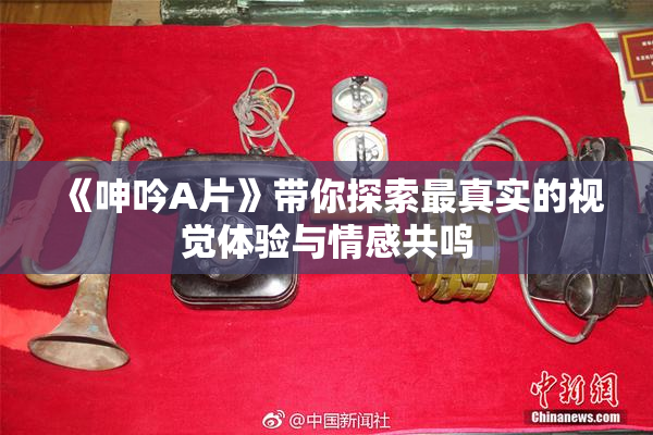 《呻吟A片》带你探索最真实的视觉体验与情感共鸣