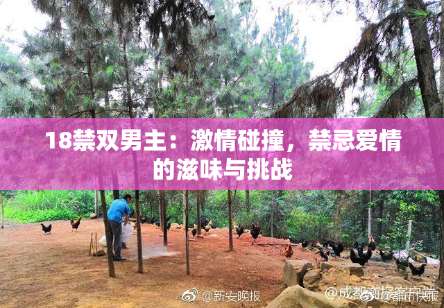 18禁双男主：激情碰撞，禁忌爱情的滋味与挑战