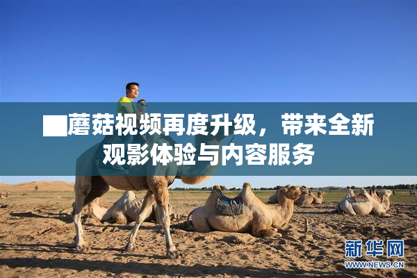 ▇蘑菇视频再度升级，带来全新观影体验与内容服务
